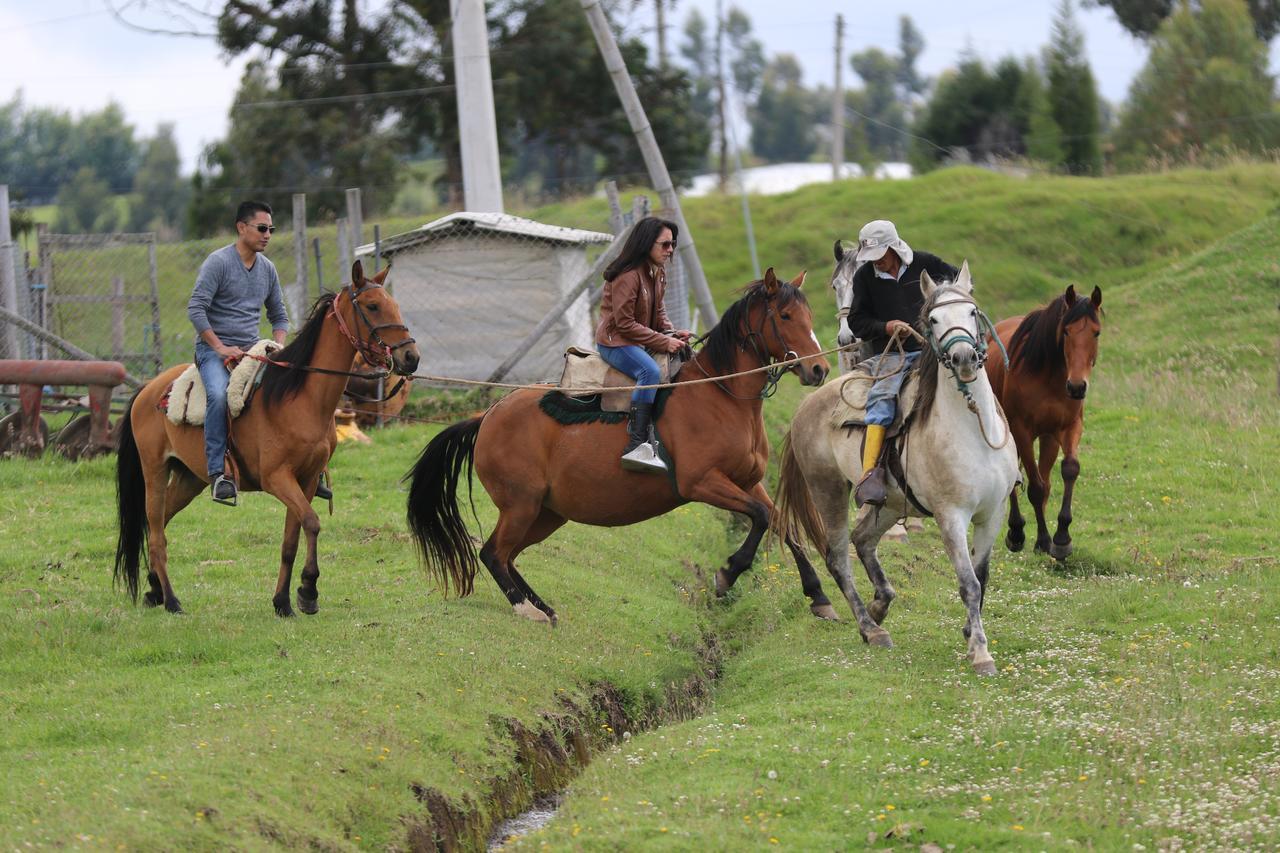 Hosteria Loma Larga Cayambe Exterior foto