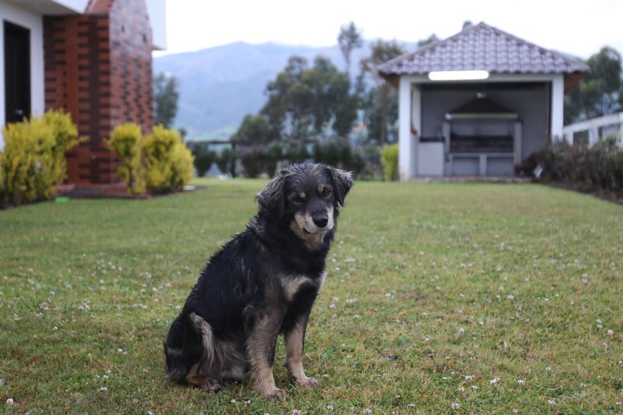 Hosteria Loma Larga Cayambe Exterior foto